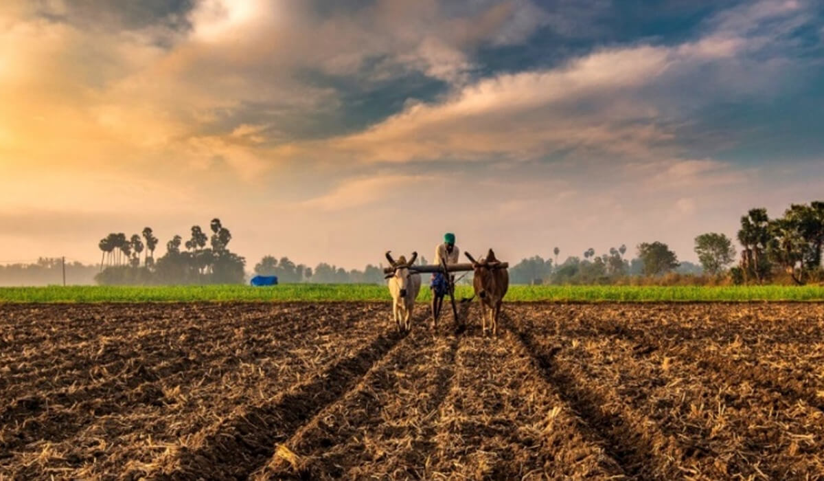 Agricultural Reforms - A Lost Opportunity
