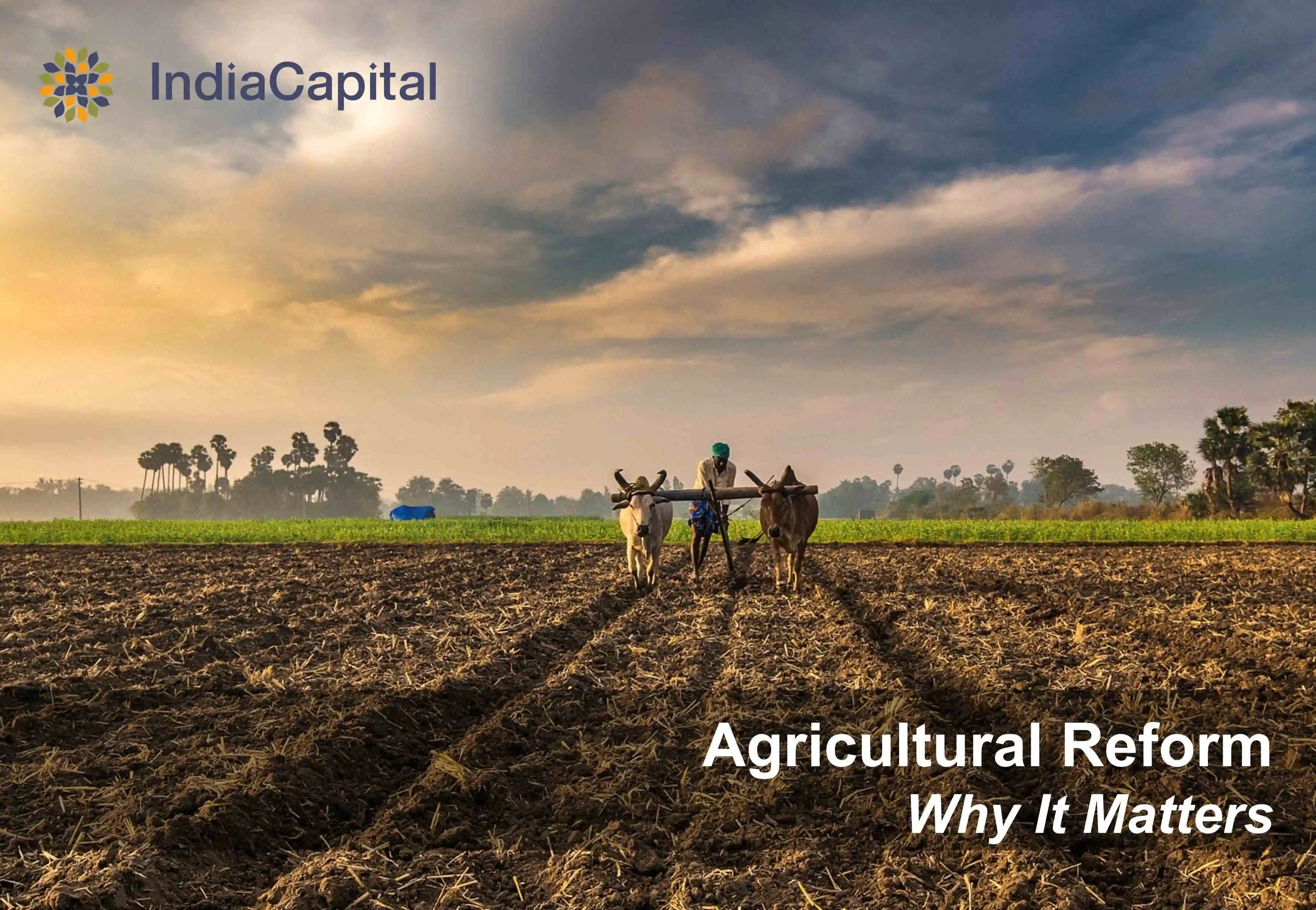 Agricultural Reforms - A Lost Opportunity